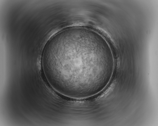 X0000096221409200801181441