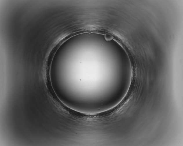 X0000096221410200801181441