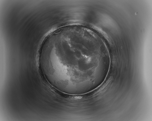 X0000096221411200801181441