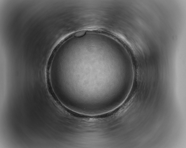 X0000096221412200801181441