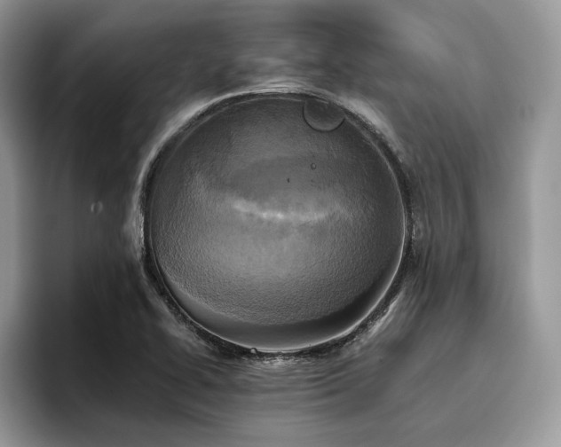 X0000096221414200801181441