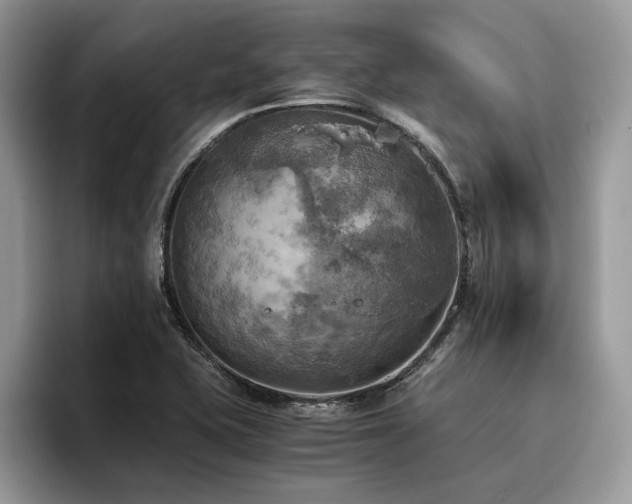 X0000096221415200801181441