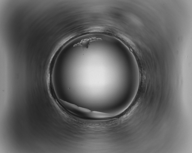 X0000096221418200801181441
