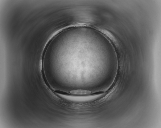 X0000096221420200801181441