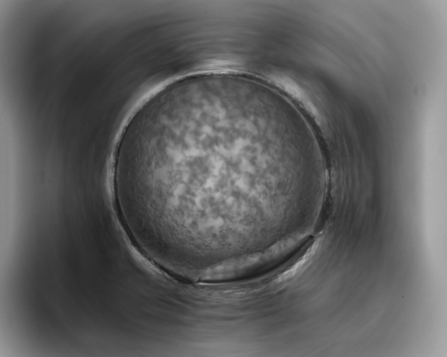 X0000096221421200801181441