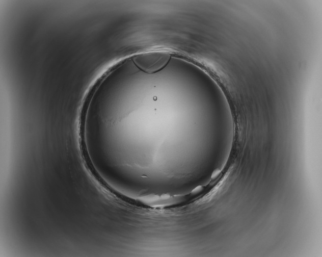 X0000096221422200801181441