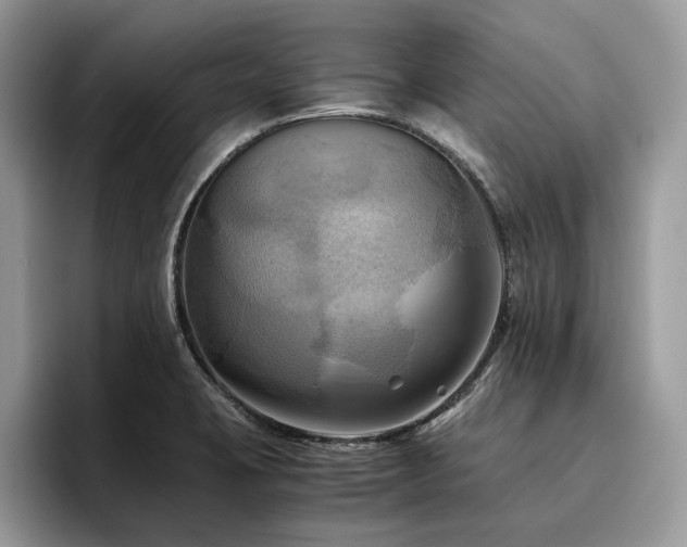 X0000096221423200801181441