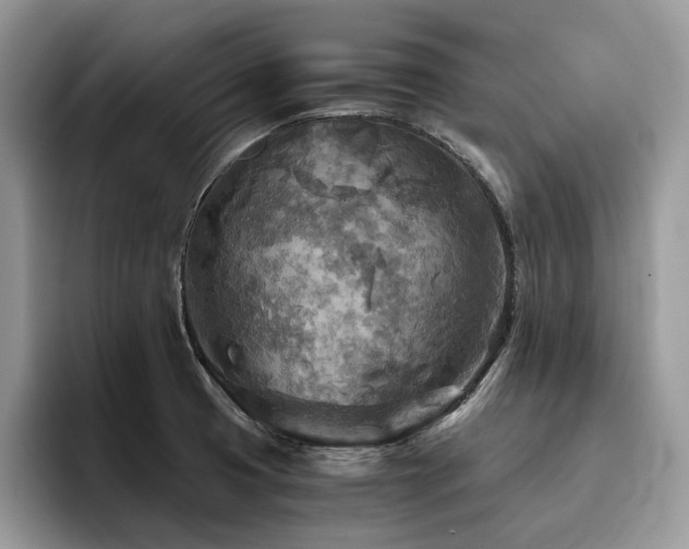 X0000096221425200801181441