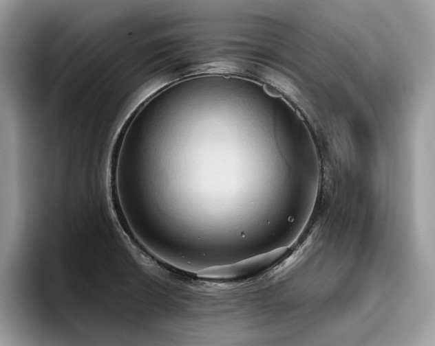 X0000096221426200801181441