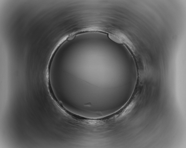 X0000096221428200801181441