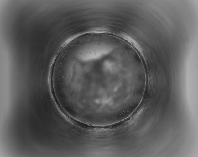 X0000096221429200801181441