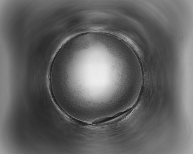 X0000096221432200801181441