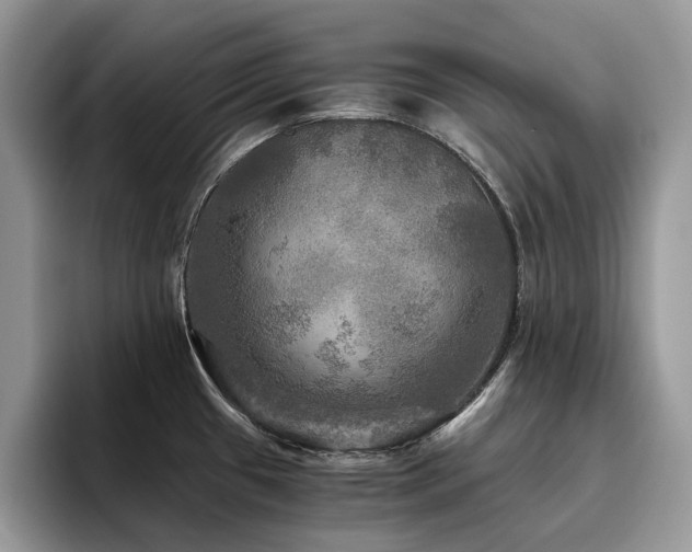 X0000096221433200801181441