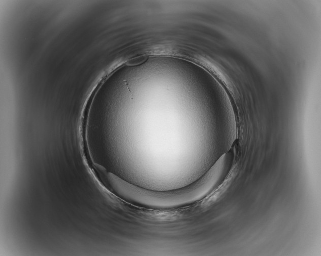 X0000096221434200801181441