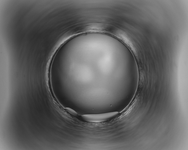 X0000096221435200801181441