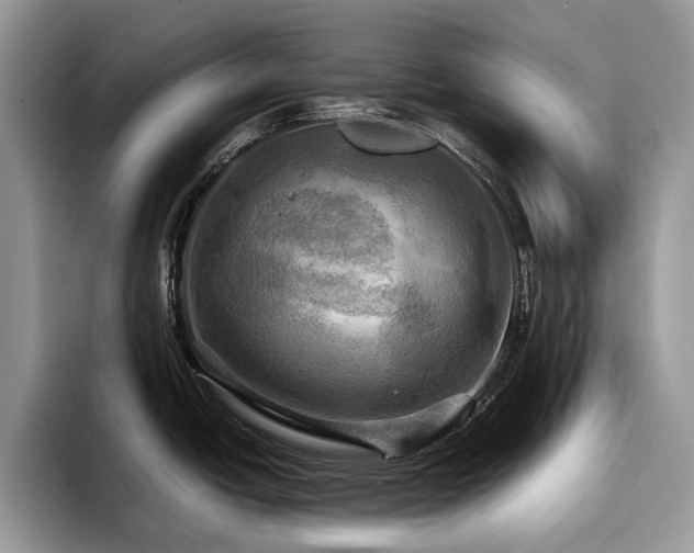 X0000096221438200801181441