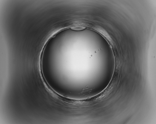 X0000096221439200801181441