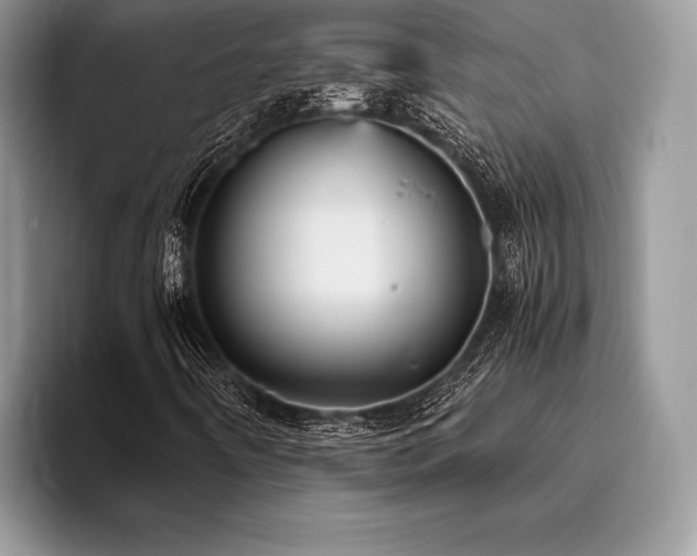 X0000096221442200801181441