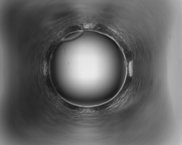 X0000096221443200801181441