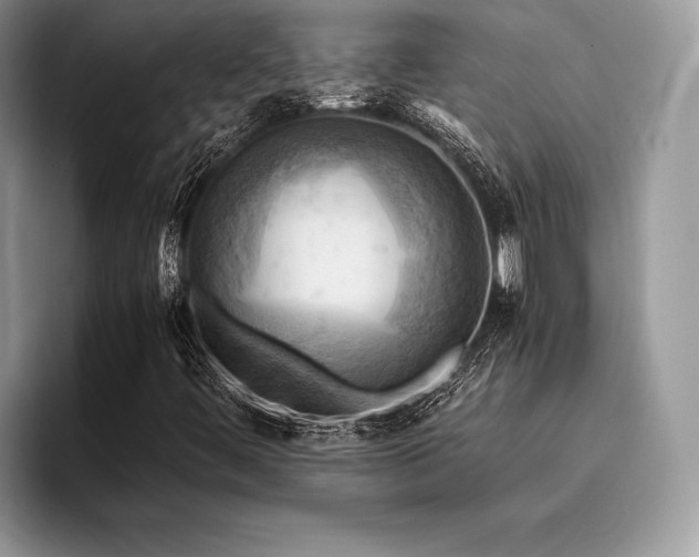 X0000096221444200801181441