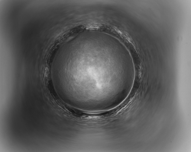 X0000096221445200801181441