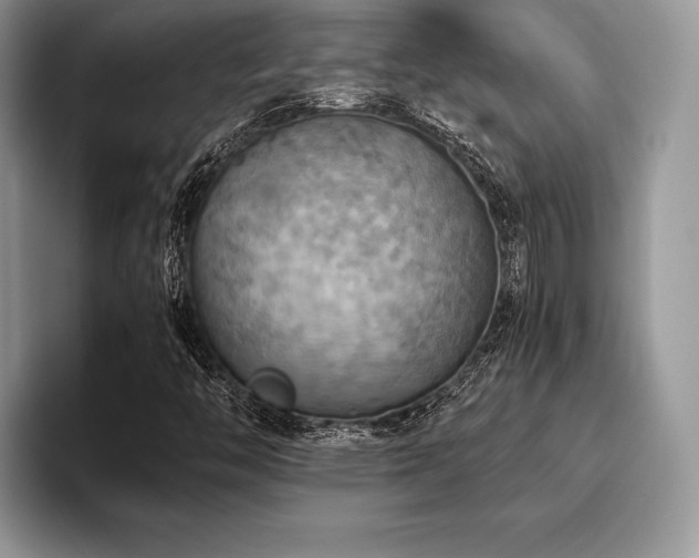 X0000096221446200801181441