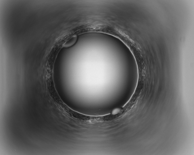 X0000096221447200801181441
