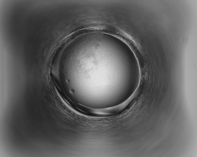 X0000096221448200801181441