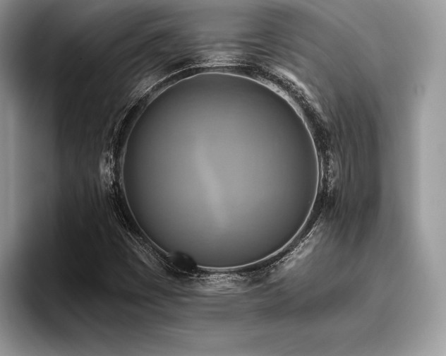 X0000096221449200801181441