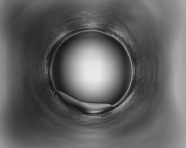 X0000096221450200801181441