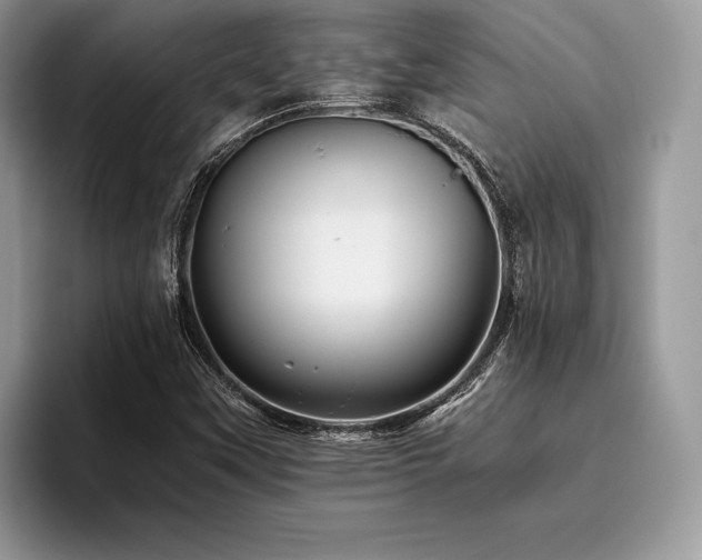 X0000096221451200801181441