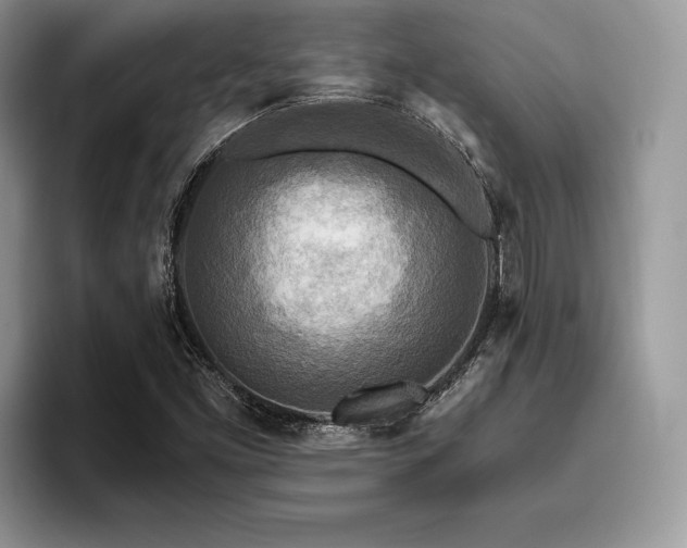 X0000096221453200801181441