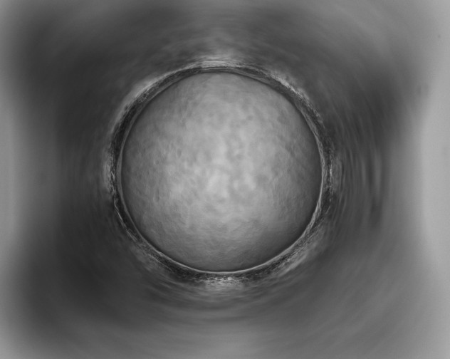 X0000096221454200801181441