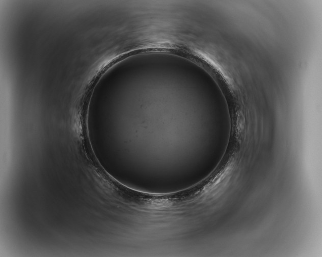 X0000096221455200801181441