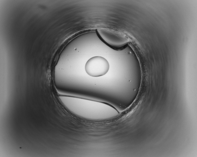 X0000096221457200801181441