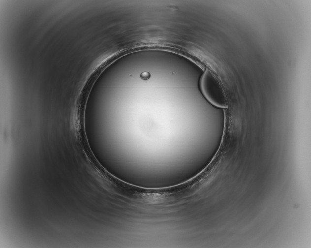 X0000096221458200801181441