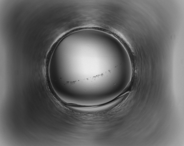 X0000096221460200801181441