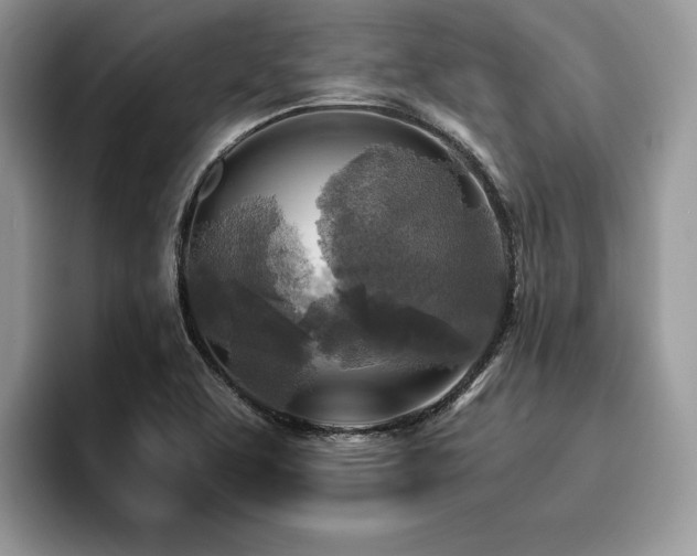 X0000096221463200801181441