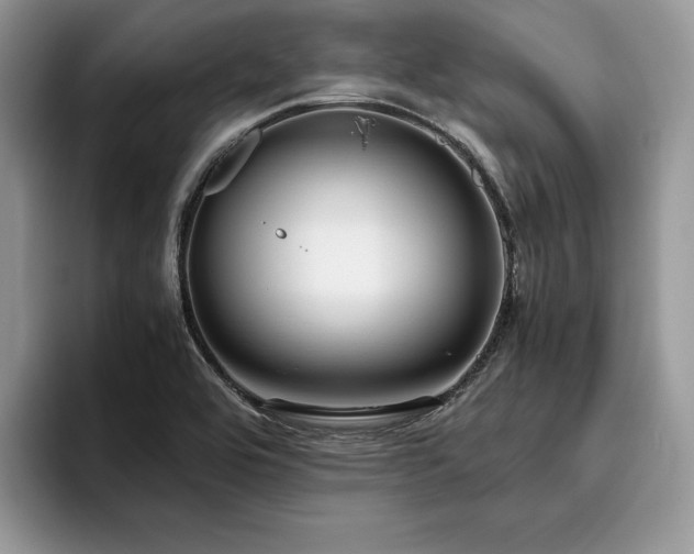 X0000096221464200801181441