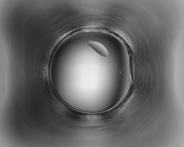 X0000096221465200801181440