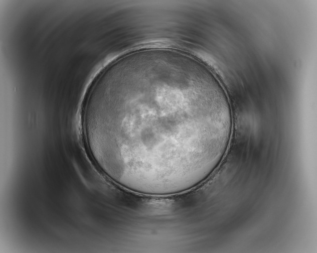 X0000096221466200801181440