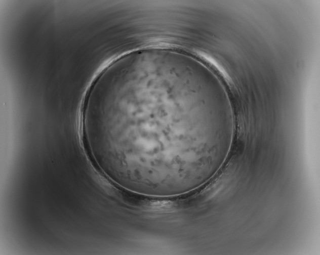 X0000096221467200801181440