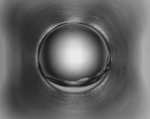 X0000096221469200801181440