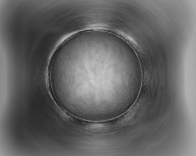 X0000096221470200801181440