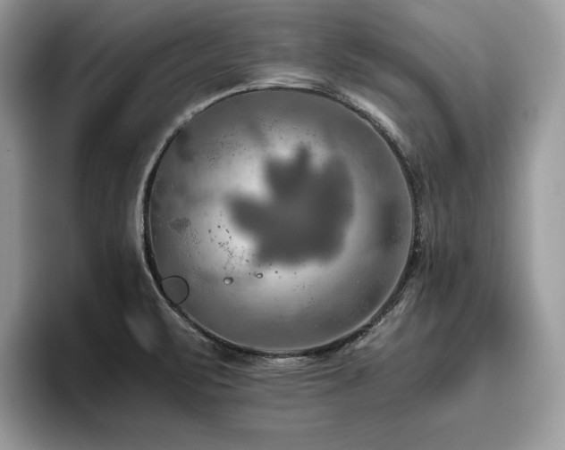 X0000096221471200801181440