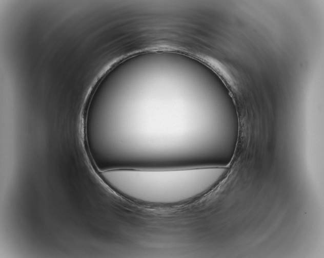 X0000096221476200801181440