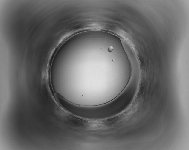 X0000096221477200801181440