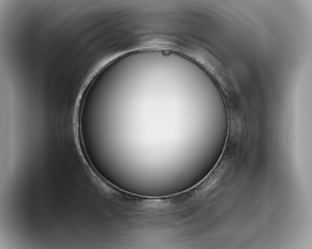 X0000096221478200801181440