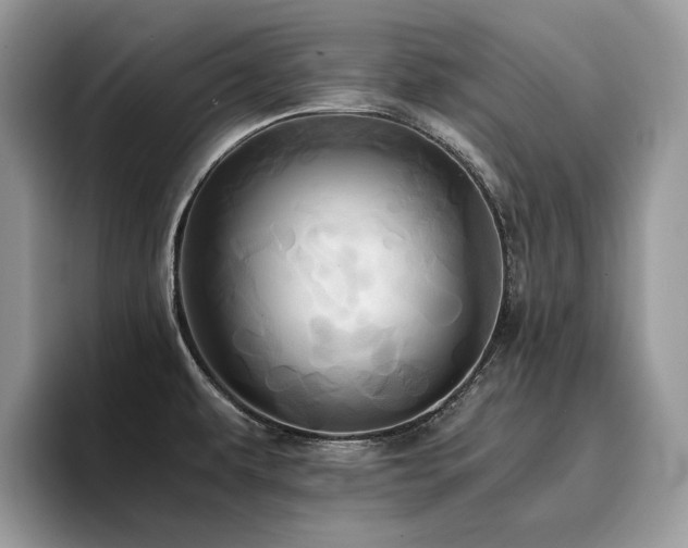 X0000096221479200801181440