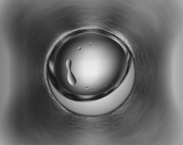 X0000096221480200801181440